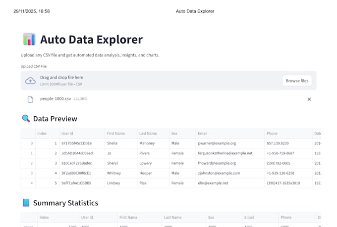 clean, preprocess, and organize your data using python, excel, or ai tools